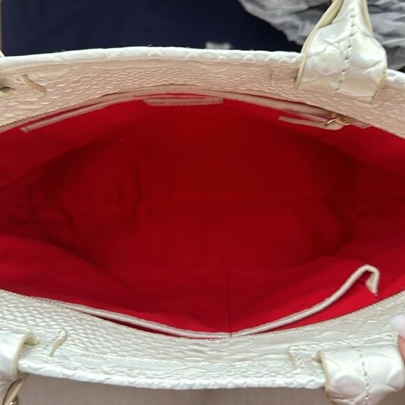 Dooney & Bourke Pearlized Snake Doomed Satchel Bag! - Picture 11 of 13